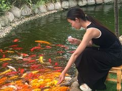 -成飞公园
