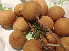 -季季山·云南野生菌火锅(上海首店)