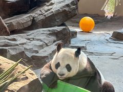 -宁波野生动物园