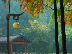 -重庆彩云湖湿地公园