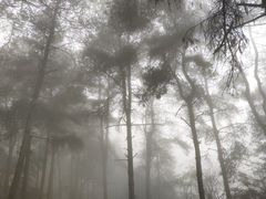 -綦江古剑山