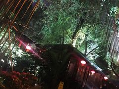 -大妙火锅·非物质文化遗产(东湖公园店)