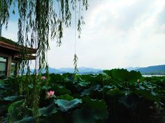 -杭州西湖风景名胜区-北街寻梦