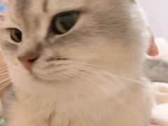 -宠爱国际动物医院·消化内科·心肾内科·ISFM猫友好(望京店)