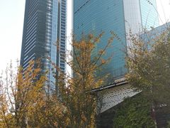 -西北湖绿化广场