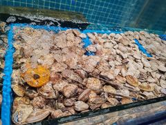 -曼格活海鲜·牛排自助(光明蓝鲸店)
