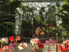 -国家植物园南园