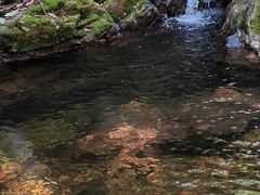 -众神白水涧景区