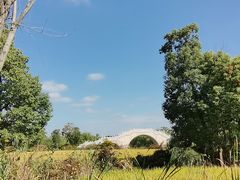 -广富林郊野公园