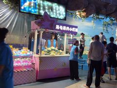 -烟台海昌鲸鲨海洋公园
