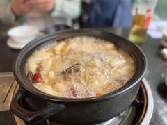 -蘑统田下·野生菌火锅