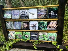 -海南热带雨林国家公园吊罗山景区