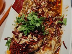 -杨氏青龙虾·羊蝎子(金盛路总店)