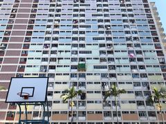 -彩虹村