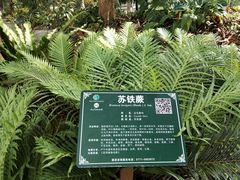 -广西壮族自治区药用植物园