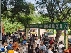 -芦仙山景区-飞越丛林探险乐园