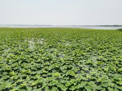 -重元寺香积厨素斋馆