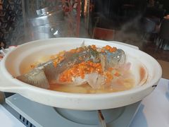 清蒸鲈鱼-樽宴酒楼·地道川菜·品质宴请