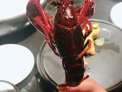 -柒厢食事雅谈