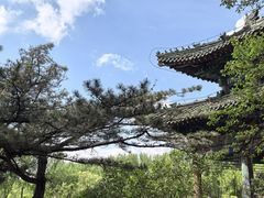 -二一九公园