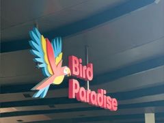 -新加坡飞禽公园