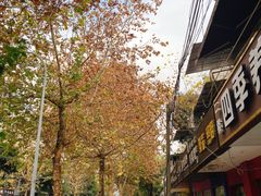 -肖肖酸萝卜鱼火锅(总店)