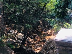 -老张烤羊(王哥庄店)