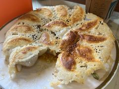 -石老头关东饺子王·东北菜(嘉华鑫城店)