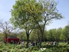 -合肥三国新城遗址公园