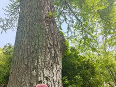 -狼山风景名胜区