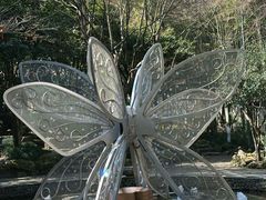 -杭州黄龙洞