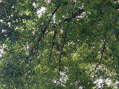 -涵家味土菜馆·徽州一绝臭鳜鱼(三河古镇店)