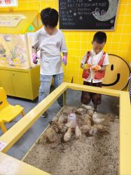 -神奇动物撸宠馆·羊驼·小浣熊·异宠(豫园店)