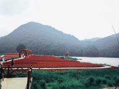 -广州市石门国家森林公园
