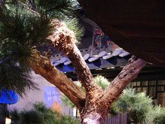 -绿茶餐厅(千岛湖银泰城店)