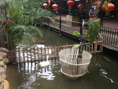 -鹅城