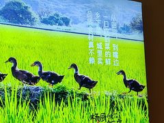 -杨厨的田园饭店(长城路店)