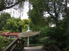 -新江湾城公园