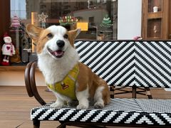 -Line 咖啡(石厦花园店)