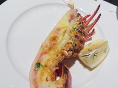 -广州万富希尔顿酒店·感趣自助餐厅·金秋蟹宴生蚝海鲜刺身烧烤