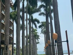 -三亚亚龙湾红树林度假酒店