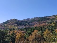 -北京鹫峰国家森林公园