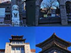-黑龙江扎龙生态旅游区