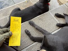 -长春观