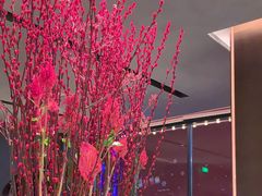 -拾久(朝阳公园店)