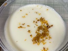 桂香豆腐花-欧记大排档·景德菜(上海首店)