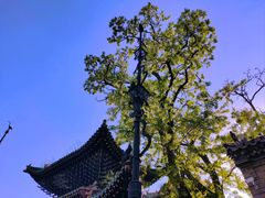-迎泽公园