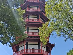 -绳金塔