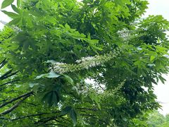 -杭州西湖风景名胜区-三生石