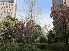 -星巴克(宝山万达店)